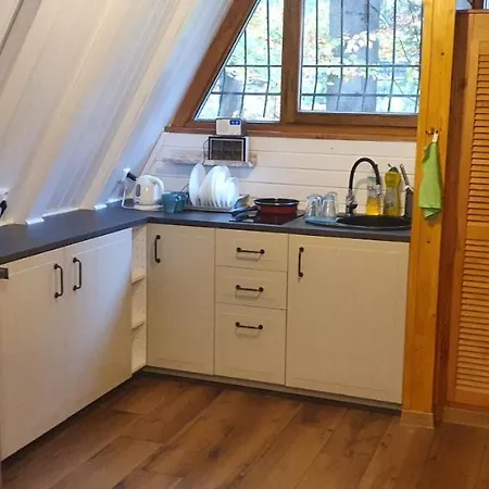Vakantiehuis Lesnica *
