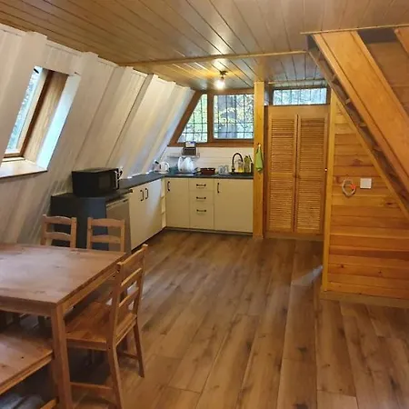Vakantiehuis Lesnica